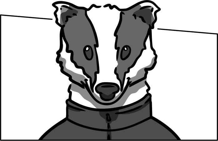 dachs